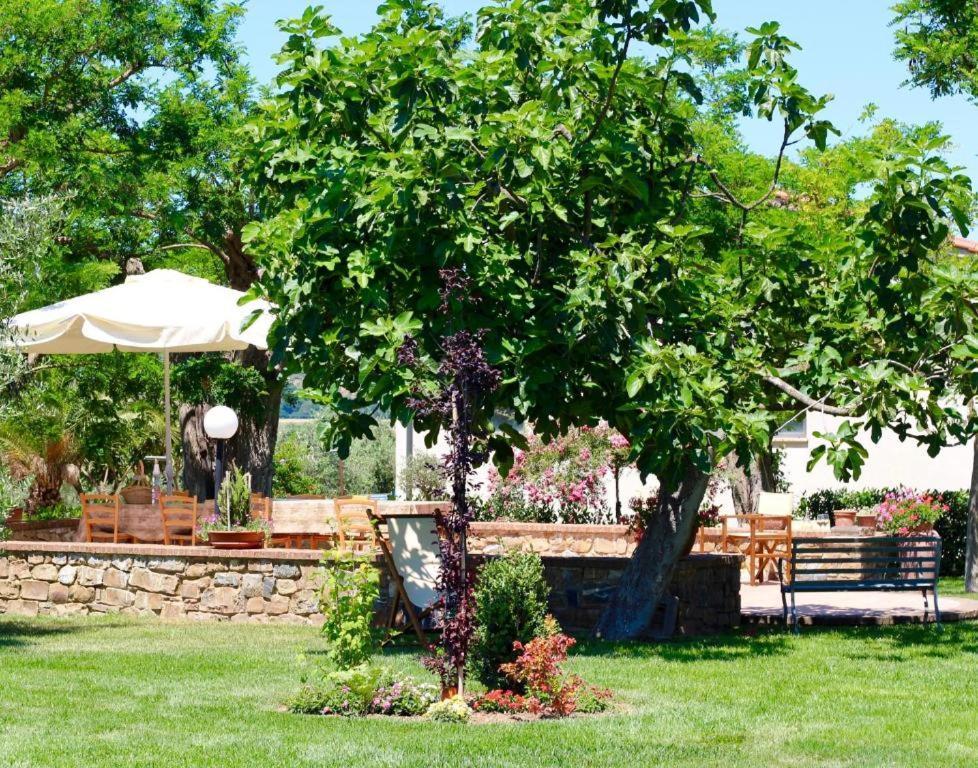 Agriturismo Vecchio Imposto Massa Marittima Buitenkant foto