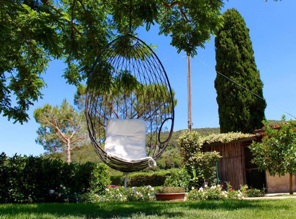 Agriturismo Vecchio Imposto Massa Marittima Buitenkant foto